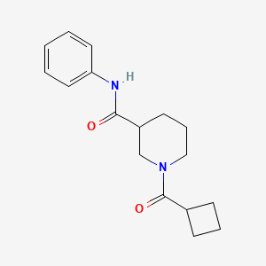 molecular formula C17H22N2O2 B7465846 1-(cyclobutanecarbonyl)-N-phenylpiperidine-3-carboxamide 