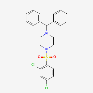 molecular formula C23H22Cl2N2O2S B7466949 1-Benzhydryl-4-(2,4-dichlorophenyl)sulfonylpiperazine 