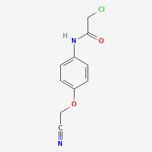 molecular formula C10H9ClN2O2 B7467876 2-chloro-N-[4-(cyanomethoxy)phenyl]acetamide 