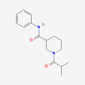 molecular formula C16H22N2O2 B7468142 1-(2-methylpropanoyl)-N-phenylpiperidine-3-carboxamide 