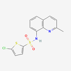 molecular formula C14H11ClN2O2S2 B7468893 5-chloro-N-(2-methylquinolin-8-yl)thiophene-2-sulfonamide 