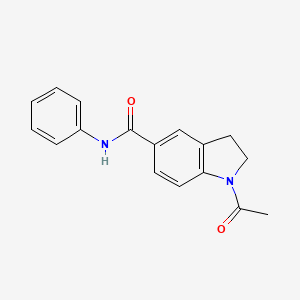 molecular formula C17H16N2O2 B7471575 1-acetyl-N-phenyl-2,3-dihydroindole-5-carboxamide 
