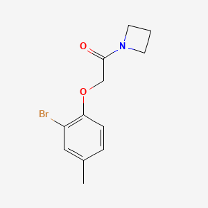 molecular formula C12H14BrNO2 B7472273 1-(Azetidin-1-yl)-2-(2-bromo-4-methylphenoxy)ethanone 