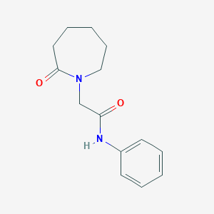 molecular formula C14H18N2O2 B7474328 2-(2-oxoazepan-1-yl)-N-phenylacetamide 