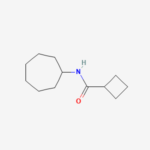 molecular formula C12H21NO B7474509 N-cycloheptylcyclobutanecarboxamide 