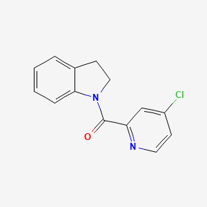 molecular formula C14H11ClN2O B7474586 (4-Chloro-pyridin-2-yl)-(2,3-dihydro-indol-1-yl)-methanone 