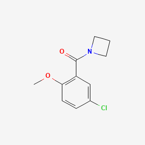 molecular formula C11H12ClNO2 B7474908 Azetidin-1-yl-(5-chloro-2-methoxyphenyl)methanone 