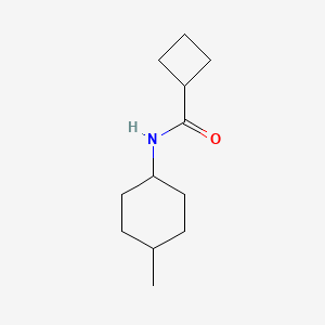 molecular formula C12H21NO B7475825 N-(4-methylcyclohexyl)cyclobutanecarboxamide 
