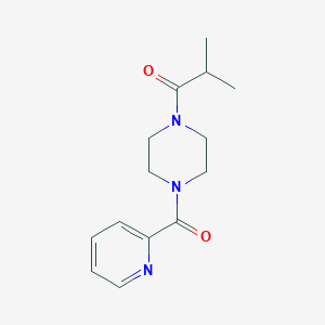 molecular formula C14H19N3O2 B7476275 2-Methyl-1-[4-(pyridine-2-carbonyl)piperazin-1-yl]propan-1-one 