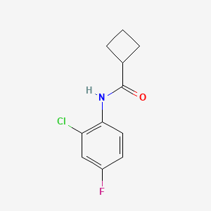 molecular formula C11H11ClFNO B7477314 N-(2-chloro-4-fluorophenyl)cyclobutanecarboxamide 