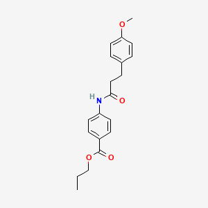 molecular formula C20H23NO4 B7479785 Propyl 4-{[3-(4-methoxyphenyl)propanoyl]amino}benzoate 