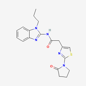 molecular formula C19H21N5O2S B7481124 2-[2-(2-oxopyrrolidin-1-yl)-1,3-thiazol-4-yl]-N-(1-propylbenzimidazol-2-yl)acetamide 