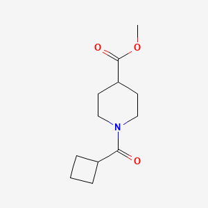 Methyl 1-(cyclobutanecarbonyl)piperidine-4-carboxylate