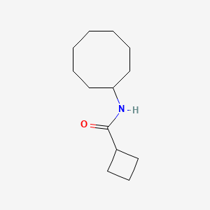 molecular formula C13H23NO B7483866 N-cyclooctylcyclobutanecarboxamide 