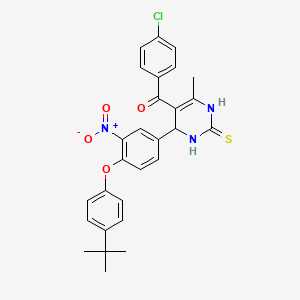 molecular formula C28H26ClN3O4S B7483930 [4-[4-(4-tert-butylphenoxy)-3-nitrophenyl]-6-methyl-2-sulfanylidene-3,4-dihydro-1H-pyrimidin-5-yl]-(4-chlorophenyl)methanone 