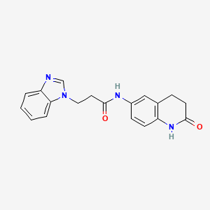 molecular formula C19H18N4O2 B7484181 3-(benzimidazol-1-yl)-N-(2-oxo-3,4-dihydro-1H-quinolin-6-yl)propanamide 