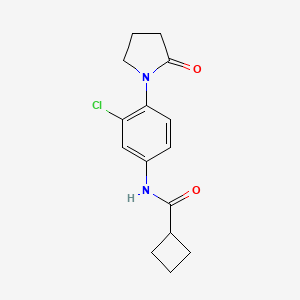 molecular formula C15H17ClN2O2 B7485360 N-[3-chloro-4-(2-oxopyrrolidin-1-yl)phenyl]cyclobutanecarboxamide 