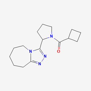 molecular formula C16H24N4O B7487502 cyclobutyl-[2-(6,7,8,9-tetrahydro-5H-[1,2,4]triazolo[4,3-a]azepin-3-yl)pyrrolidin-1-yl]methanone 