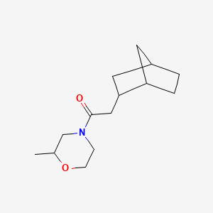 molecular formula C14H23NO2 B7487616 2-(2-Bicyclo[2.2.1]heptanyl)-1-(2-methylmorpholin-4-yl)ethanone 