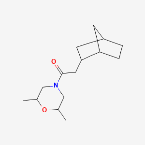 2-(2-Bicyclo[2.2.1]heptanyl)-1-(2,6-dimethylmorpholin-4-yl)ethanone