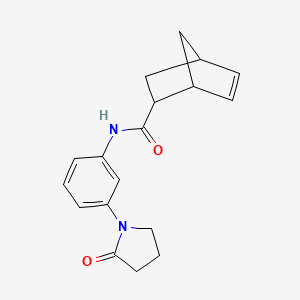 molecular formula C18H20N2O2 B7488366 N-[3-(2-oxopyrrolidin-1-yl)phenyl]bicyclo[2.2.1]hept-5-ene-2-carboxamide 