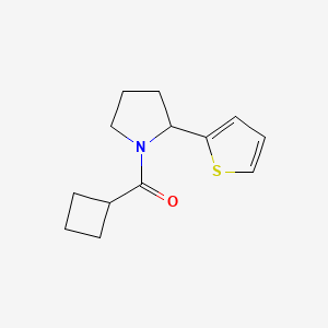 molecular formula C13H17NOS B7488387 Cyclobutyl-(2-thiophen-2-ylpyrrolidin-1-yl)methanone 