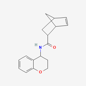 molecular formula C17H19NO2 B7488398 N-(3,4-dihydro-2H-chromen-4-yl)bicyclo[2.2.1]hept-5-ene-2-carboxamide 