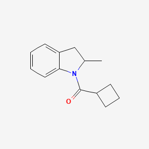 Cyclobutyl-(2-methyl-2,3-dihydroindol-1-yl)methanone