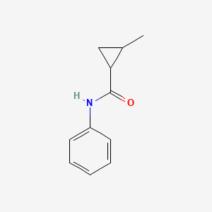 molecular formula C11H13NO B7489272 2-methyl-N-phenylcyclopropane-1-carboxamide 