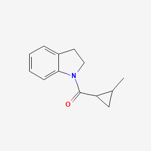 molecular formula C13H15NO B7489751 2,3-Dihydroindol-1-yl-(2-methylcyclopropyl)methanone 