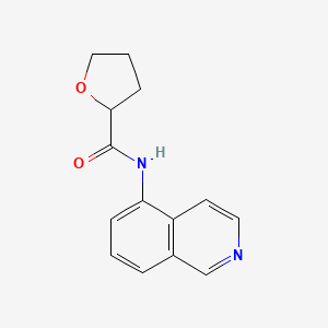 molecular formula C14H14N2O2 B7489783 N-isoquinolin-5-yloxolane-2-carboxamide 