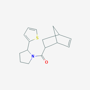 molecular formula C16H19NOS B7489884 2-Bicyclo[2.2.1]hept-5-enyl-(2-thiophen-2-ylpyrrolidin-1-yl)methanone 