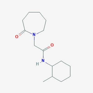 molecular formula C15H26N2O2 B7489973 N-(2-methylcyclohexyl)-2-(2-oxoazepan-1-yl)acetamide 