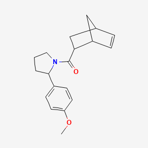 2-Bicyclo[2.2.1]hept-5-enyl-[2-(4-methoxyphenyl)pyrrolidin-1-yl]methanone