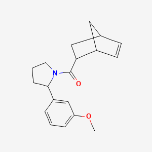 molecular formula C19H23NO2 B7492297 2-Bicyclo[2.2.1]hept-5-enyl-[2-(3-methoxyphenyl)pyrrolidin-1-yl]methanone 