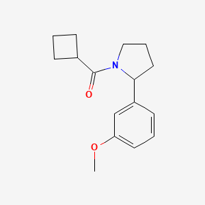 Cyclobutyl-[2-(3-methoxyphenyl)pyrrolidin-1-yl]methanone