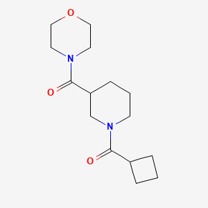 molecular formula C15H24N2O3 B7492339 [1-(Cyclobutylcarbonyl)-3-piperidyl](morpholino)methanone 