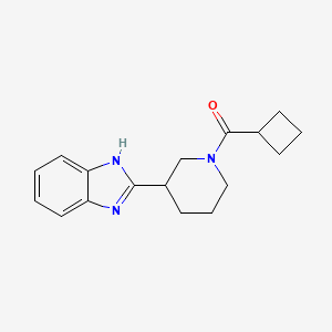 molecular formula C17H21N3O B7492376 [3-(1H-benzimidazol-2-yl)piperidin-1-yl]-cyclobutylmethanone 