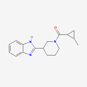 molecular formula C17H21N3O B7492456 [3-(1H-benzimidazol-2-yl)piperidin-1-yl]-(2-methylcyclopropyl)methanone 