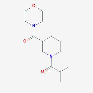 molecular formula C14H24N2O3 B7492505 2-Methyl-1-[3-(morpholinocarbonyl)piperidino]-1-propanone 