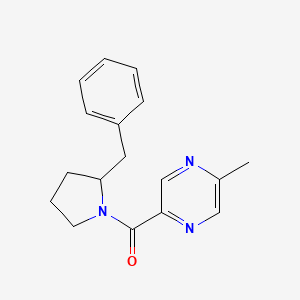 molecular formula C17H19N3O B7492554 (2-Benzylpyrrolidin-1-yl)-(5-methylpyrazin-2-yl)methanone 