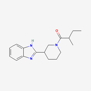 molecular formula C17H23N3O B7492771 1-[3-(1H-benzimidazol-2-yl)piperidin-1-yl]-2-methylbutan-1-one 