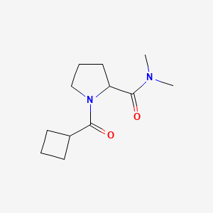 molecular formula C12H20N2O2 B7493114 1-(cyclobutanecarbonyl)-N,N-dimethylpyrrolidine-2-carboxamide 