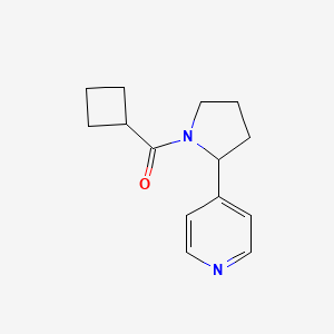 molecular formula C14H18N2O B7493512 Cyclobutyl-(2-pyridin-4-ylpyrrolidin-1-yl)methanone 