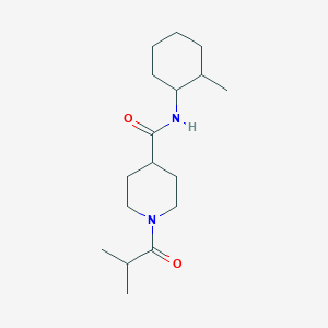 N-(2-methylcyclohexyl)-1-(2-methylpropanoyl)piperidine-4-carboxamide