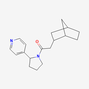 2-(2-Bicyclo[2.2.1]heptanyl)-1-(2-pyridin-4-ylpyrrolidin-1-yl)ethanone