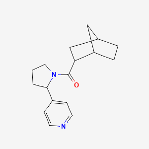molecular formula C17H22N2O B7493822 2-Bicyclo[2.2.1]heptanyl-(2-pyridin-4-ylpyrrolidin-1-yl)methanone 