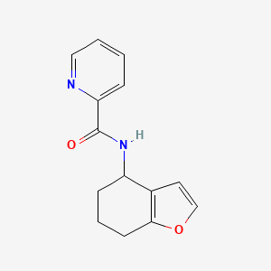 molecular formula C14H14N2O2 B7494254 N-(4,5,6,7-tetrahydro-1-benzofuran-4-yl)pyridine-2-carboxamide 