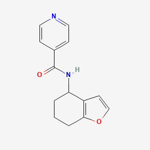 molecular formula C14H14N2O2 B7494258 N-(4,5,6,7-tetrahydro-1-benzofuran-4-yl)pyridine-4-carboxamide 