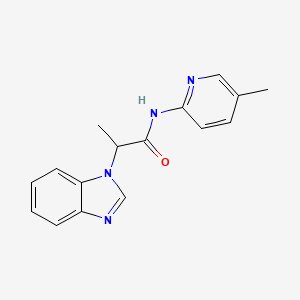 molecular formula C16H16N4O B7495092 2-(benzimidazol-1-yl)-N-(5-methylpyridin-2-yl)propanamide 